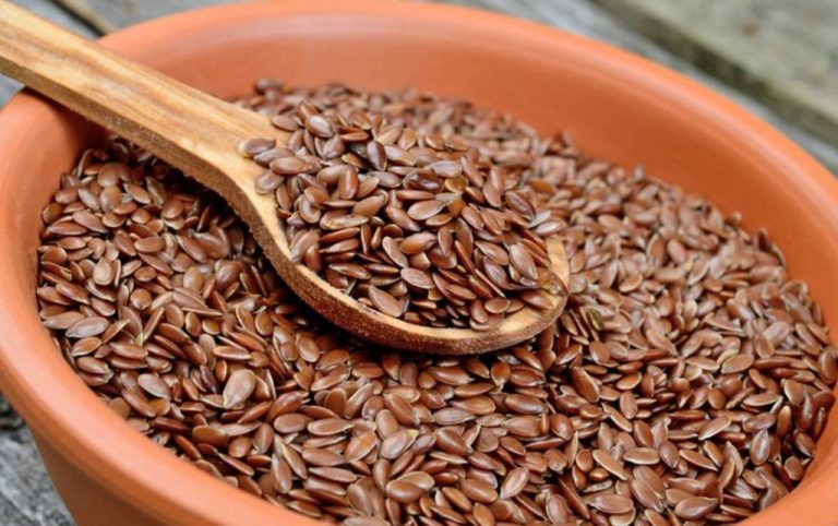 flax-seed-disease-prevention-is-better-than-cure